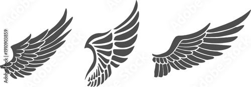 Set of single feathered wing silhouettes for emblem or logo design