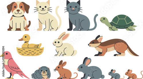 Diverse animal vector collection featuring cute pets like dogs cats and turtles along with wildlife birds and rabbits.