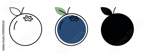 Set of blueberry icons with a single leaf, featuring line art, flat color, and silhouette styles. Elegant minimalist fruit vector graphics.