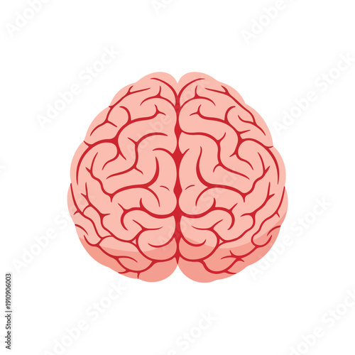Top view illustration of the human brain, symbolizing health and medical care