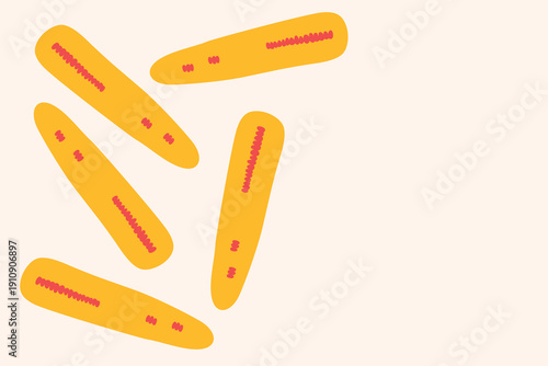 Art & Illustration Sweet Corn Vector for Healthy Food Marketing