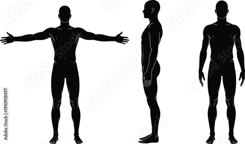 Set of decorative garden bushes and flowering shrubs isolated on white background for landscaping, gardening design, nature decoration, and outdoor illustration concept