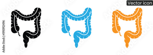 Set of colorful vector icons illustrating the human large intestine in black, blue, orange, and green on a clean white background for medical and health-related projects