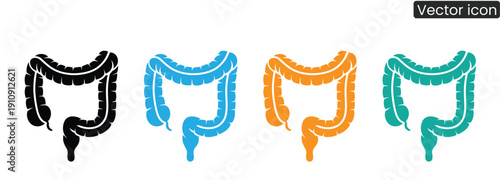 Vector illustrations of human colon anatomy in various colors for medical and educational use