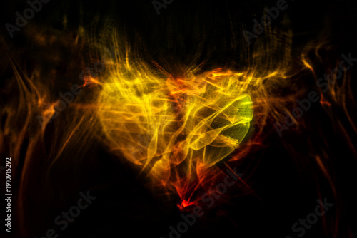 Принти на полотні An abstract heart made of smoke patterns in shades of yellow, orange, and green on a black background, symbolizing love, passion, and life