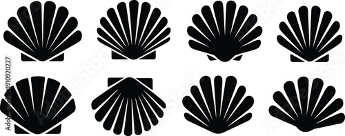 Set of scallop shell silhouettes in solid black style, vector collection of marine sea shells for beach, ocean, and nautical design