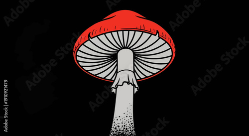 A striking red and white mushroom sculpture against a dark night sky backdrop.