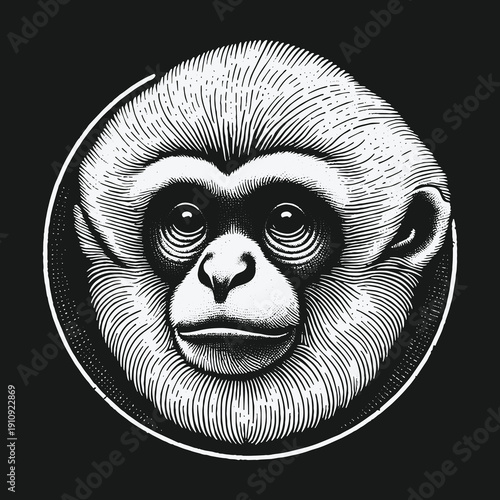 Detailed Engraving of a Gibbons Face in Circular Frame.