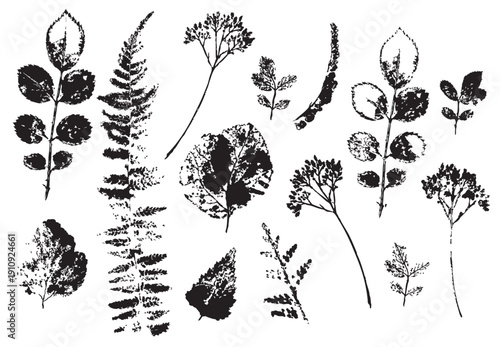 Black ink print of leaves, branches and grass, vector illustration