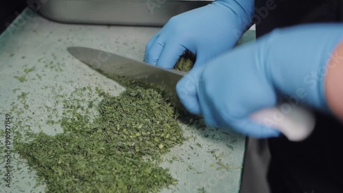 Chef chopping fresh dill and cilantro on cutting board. 