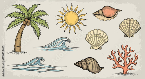 Beach scene with palm tree, sun, seashells, waves, and coral.