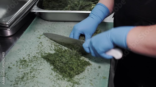  Chef chopping fresh parsley and dill for seasoning. 