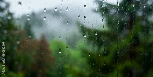 Raindrops cling to a windowpane, forming delicate trails as they slide downward. Beyond the glass, a soft blur of green trees and misty light creates a calm, moody atmosphere. 