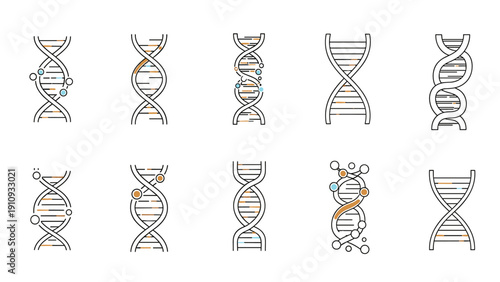 Collection of ten different DNA double helix structures depicted in various styles with colorful circular nodes.
