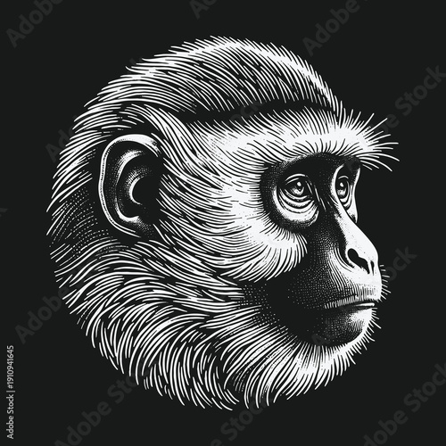 Detailed Monkey Portrait: A Study in Black and White.