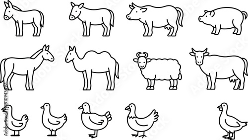 Set of simple farm animal vector outlines featuring donkey cow pig horse camel sheep and poultry isolated on white background.