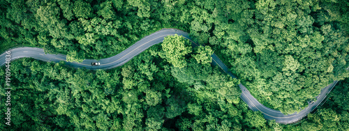 Forest road landscape showing sustainable travel and clean energy transportation concept for business marketing and modern eco technology presentations. © Hand Robot
