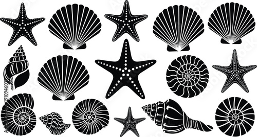 Set of black sea shell and starfish silhouettes, marine life collection, underwater nature elements for cad drawing flat vector illustration, coastal design.