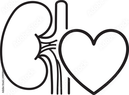 Illustration of a line drawing of a kidney and heart on a for medical concepts