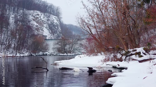 Swans swimming in winter river near waterfall