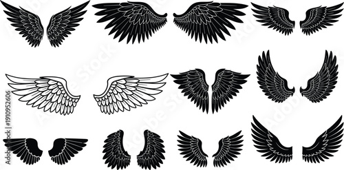Wing vector illustration collection, decorative feather artwork set, abstract angel bird designs, creative tattoo motif, detailed fantasy symmetrical pattern