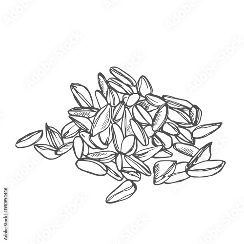 Wheat grain heap vector drawing. Hand drawn illustration of the pile of cereal, muesli, and granola ingredients. Healthy organic farm whole food snack.