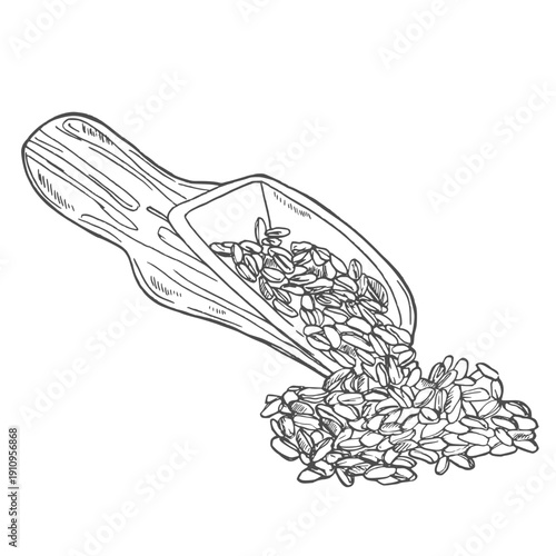 Wooden cooking scoop with grains and wheat ears. Healthy organic natural farm food. Vintage sketch illustration