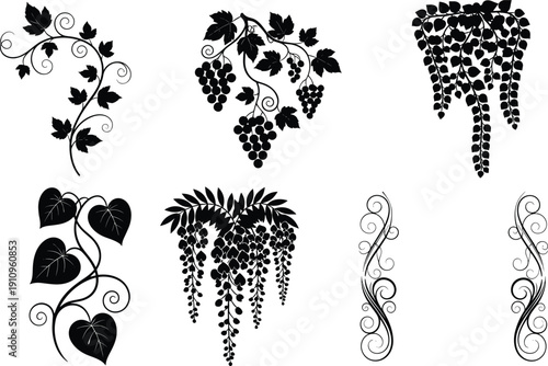 Elegant black silhouette botanical vine and floral motifs with decorative swirls, grapevine clusters, heart-shaped leaves, and ornamental design elements