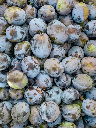 fresh figs at the market