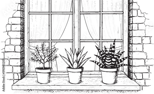 Three potted plants on a windowsill in a detailed line art drawing.