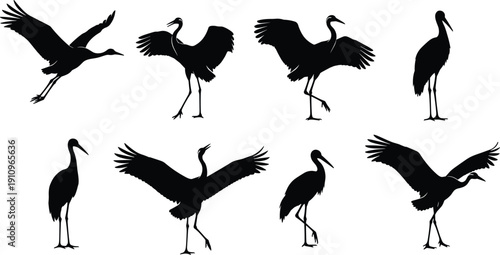 Set of Black Silhouette Vector Illustrations Featuring Eight Diverse Crane Birds Flying and Standing for Nature Wildlife Wetland and Japanese Art Designs