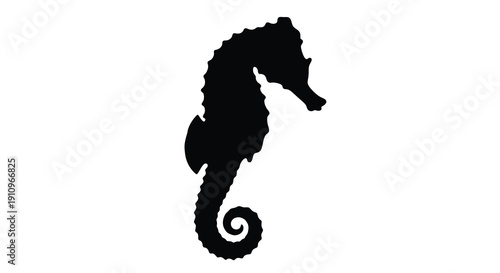 Black seahorse illustration against a white background silhouette