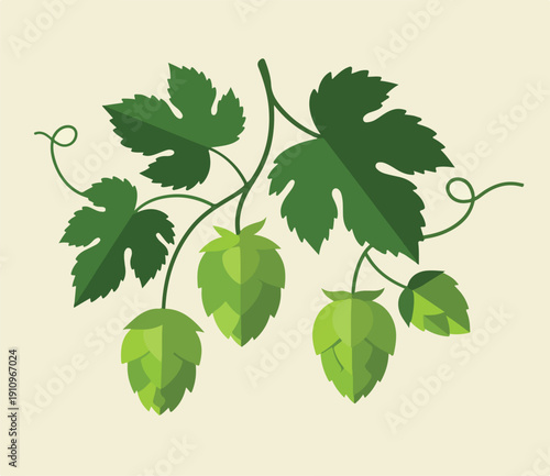 Green Hops Plant Branch Illustration for Beer Brewing