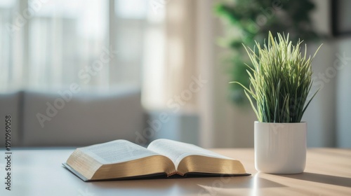 Book Bible