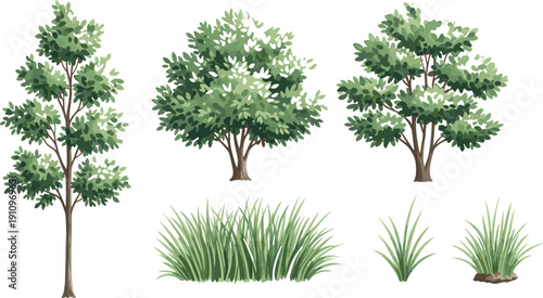Set of green trees and grass bushes isolated on white background, natural forest vegetation illustration collection