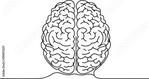 Brain continuous line icon vector