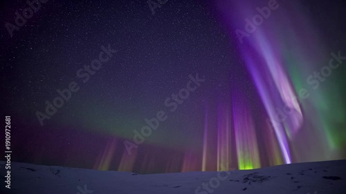 Wallpaper Mural Purple Northern Lights Aurora Borealis | Night Sky Polar Lights | Arctic Nature Background Video Torontodigital.ca