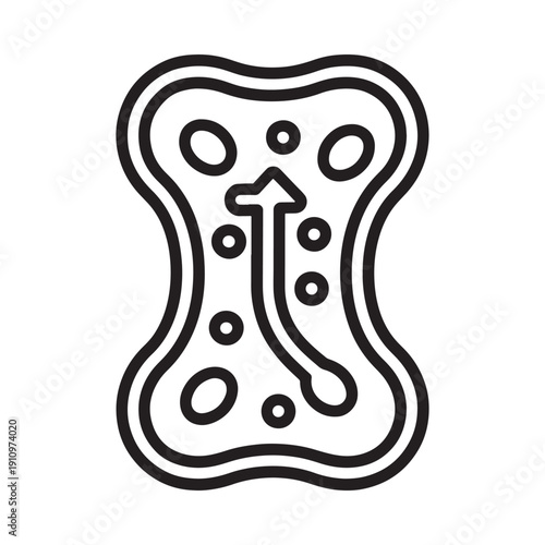 Black and white line art illustration of a single amoeba cell