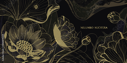 Elegant golden illustration of lotus flowers and seed pods on black