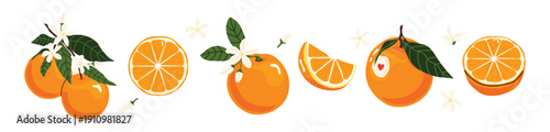 Set of fresh bright oranges with slices, blossoms and green leaves. Citrus fruit collection, orange fruit, juicy food, healthy nutrition, organic product, natural vitamins. Perfect for stickers, cards
