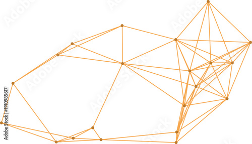 A complex network of interconnected lines and nodes