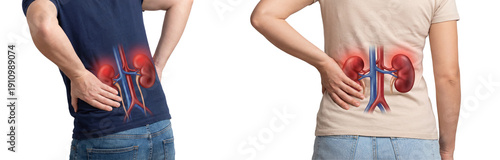 Man and Woman hand is pressed against the left side of the lower back, clearly indicating kidney or lower-back discomfort anatomically renal system overlay is digitally placed, isolated on transparent