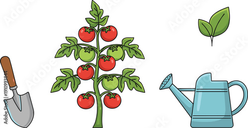 Home Gardening Vector Illustration Set with Tomato Plant Bearing Red and Green Fruit Watering Can Trowel and Leaf Icons
