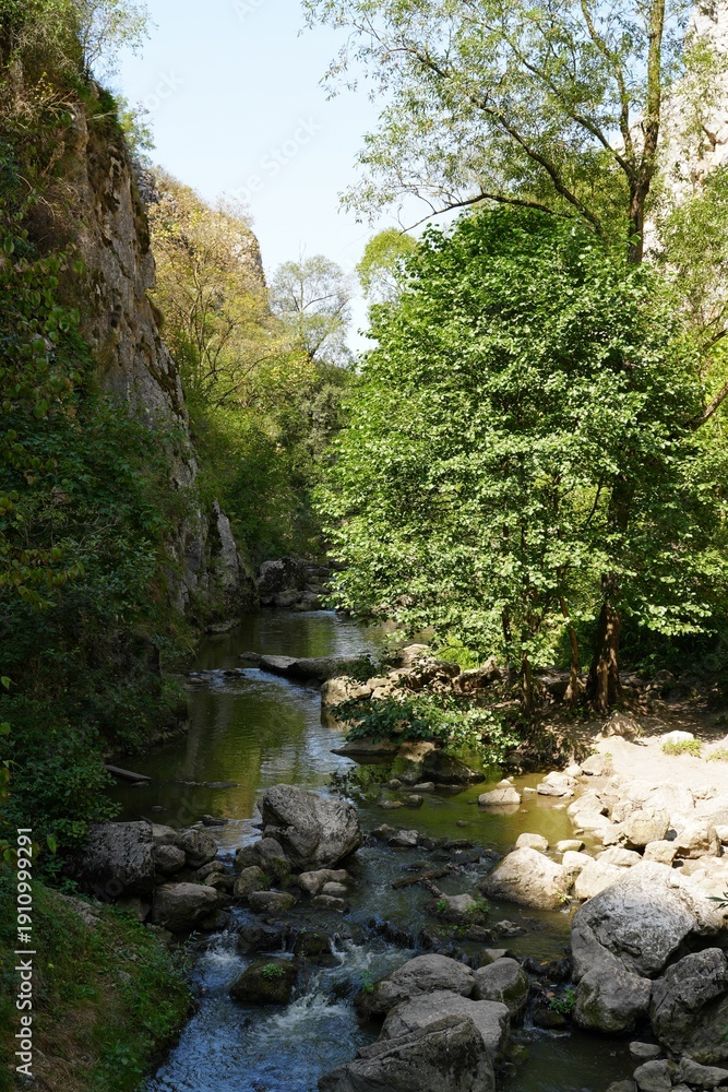 Obraz premium Travel romania transilvania cheile turzii turzii gorges river flowing through green transylvania landscape