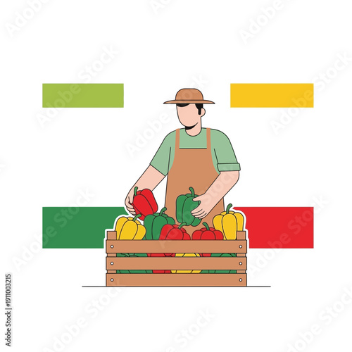 Fresh Produce Farmer Arranging Vibrant Bell Peppers In Wooden Crate For Market Sale