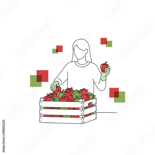 Fresh Produce Farmer Harvesting Vibrant Bell Peppers From Wooden Crate