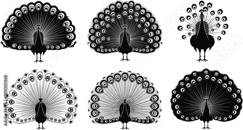 Detailed peacock silhouettes set with open tail feathers, featuring exotic birds for luxury design, nature, wildlife, elegance, and ornamental patterns.