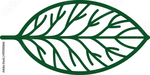 Stylized, thick green outline drawing depicts the detailed internal vein structure of a single, simple ovate botanical leaf.