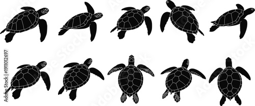 Sea turtle silhouette set featuring various swimming poses, marine animal life icons, and ocean wildlife tortoises for aquatic vector graphic design