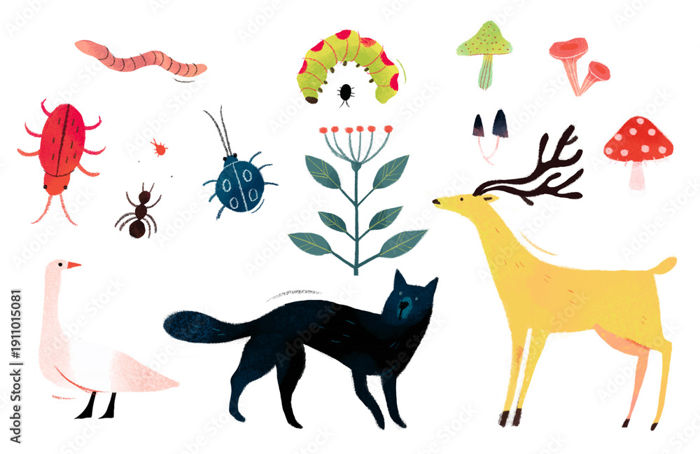 Obraz premium Nature Elements and Animals Illustration Set